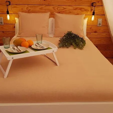 La Siesta De La Gaviota Campsite *