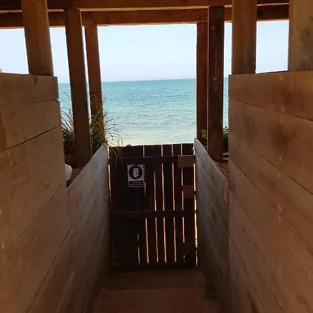 La Siesta De La Gaviota