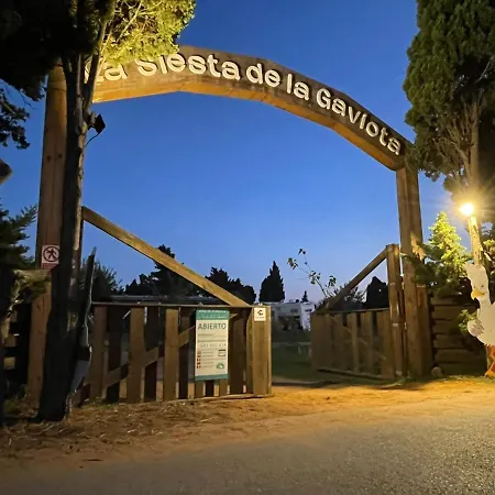 La Siesta De La Gaviota *