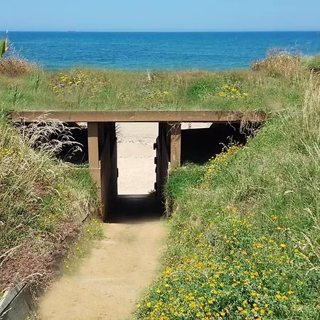 La Siesta De La Gaviota