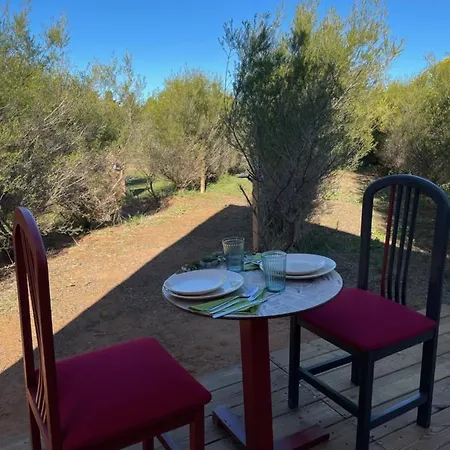 La Siesta De La Gaviota Campsite